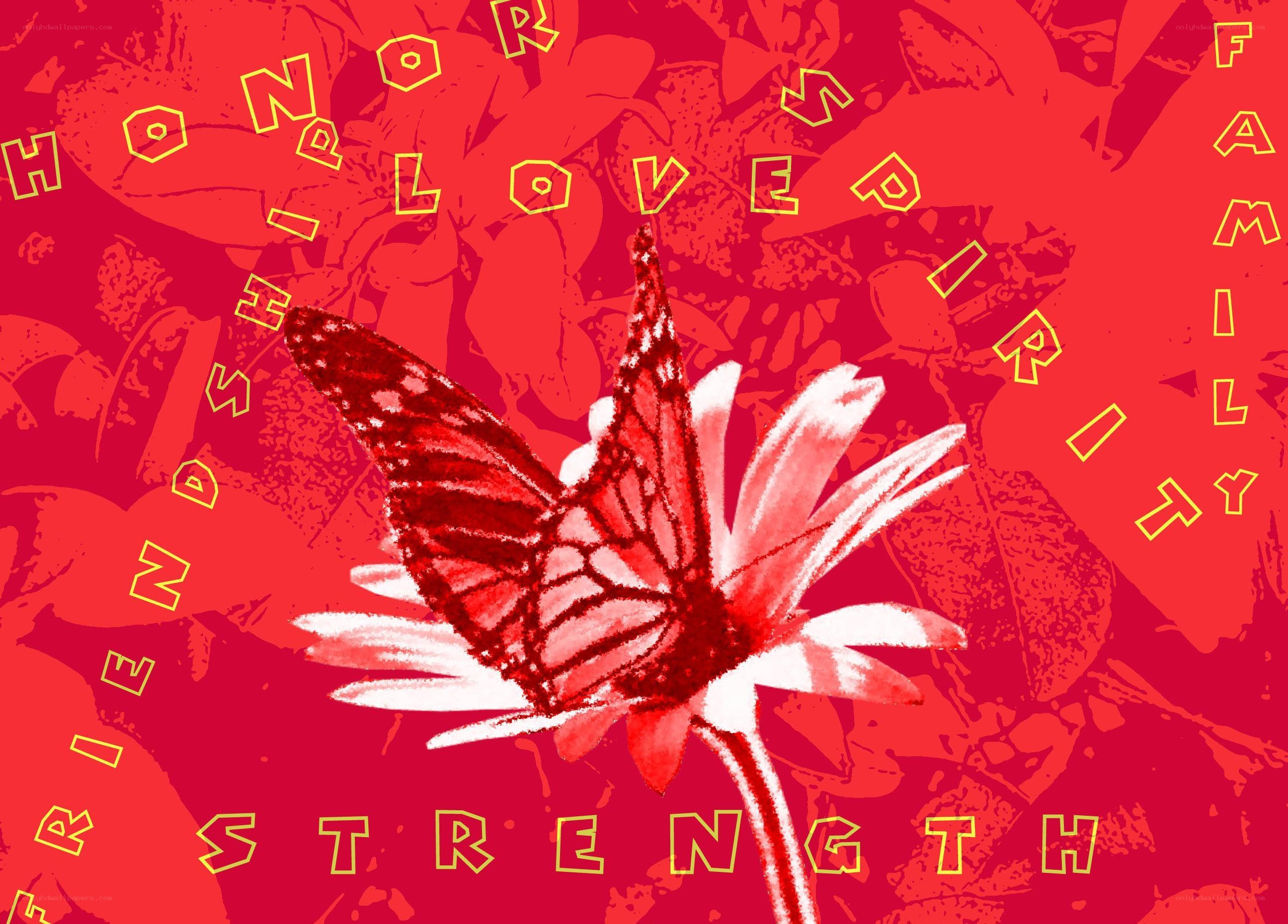 butterfly on a flower