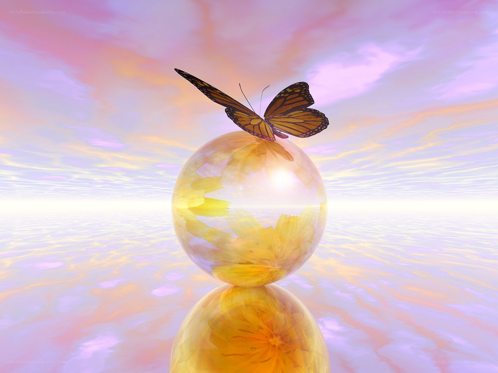 butterfly on a glass sphere