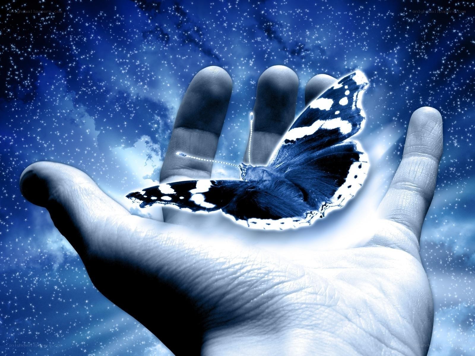 butterfly on a hand
