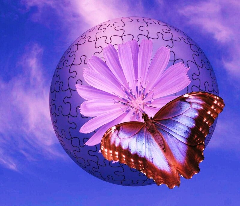butterfly on a puzzle sphere