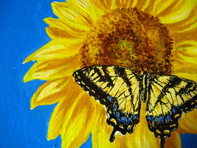 butterfly on a sunflower