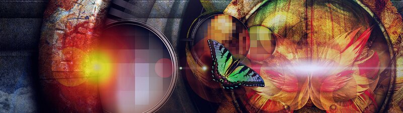 Butterfly on Abstract Background