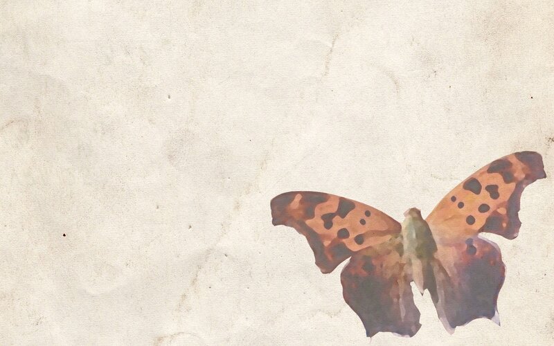 butterfly on aged paper