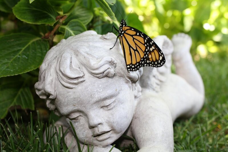 Butterfly on Angel Statue — Green