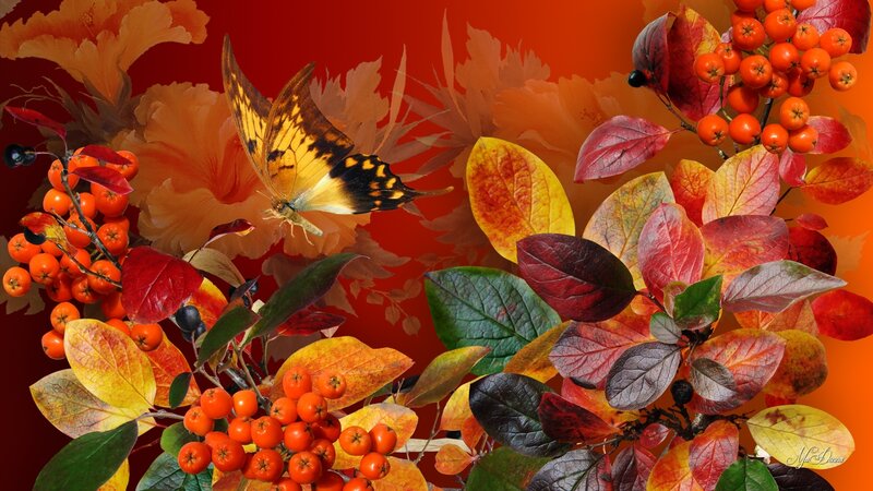 Butterfly on Autumn Leaves — Red