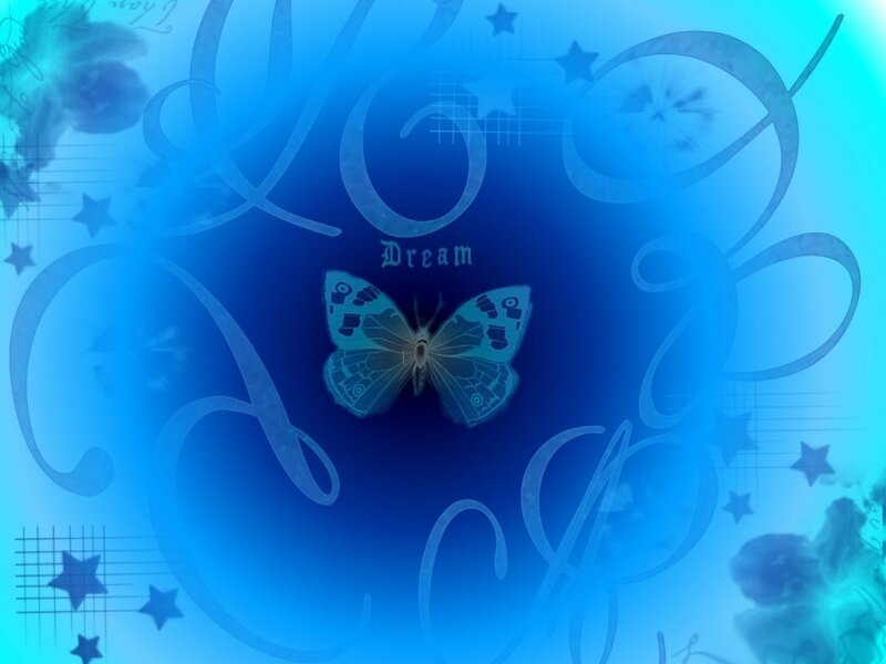 Butterfly on Blue Background