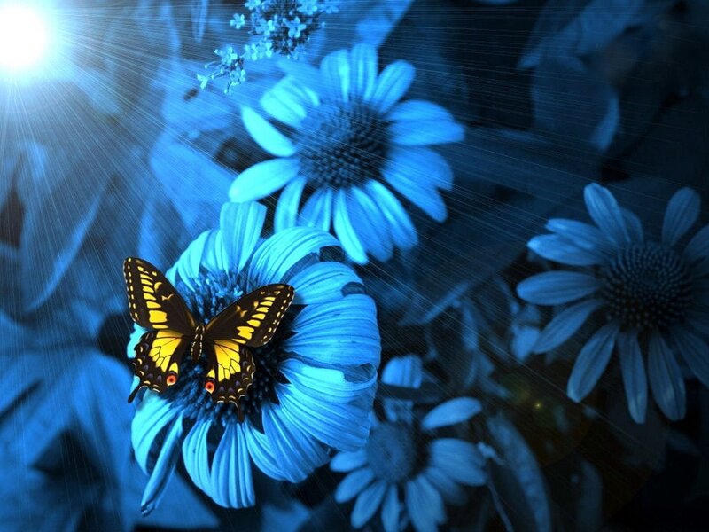 Butterfly on Blue Flower — Dramatic, Digital Art