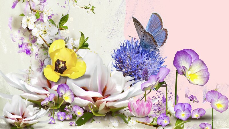 Butterfly on Blue Flower — Purple