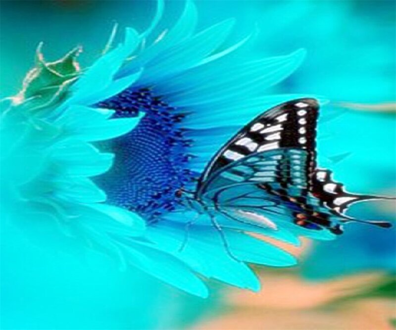 Butterfly on Blue Flower — Serene, Digital Art