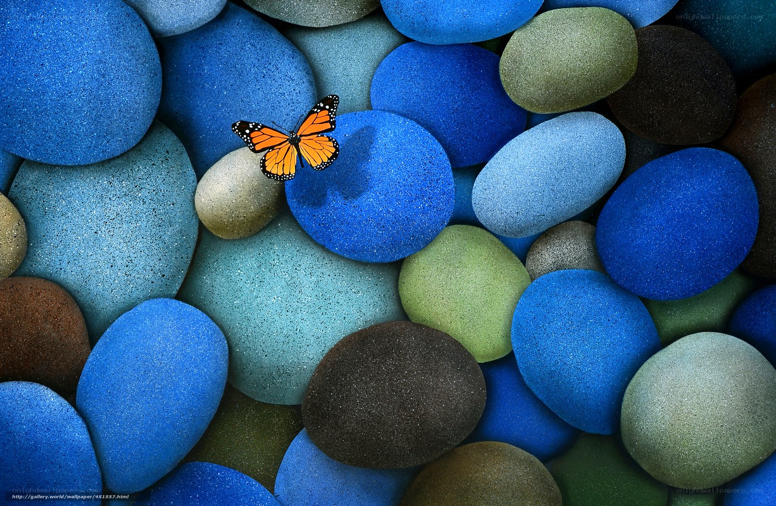 Butterfly on blue stones