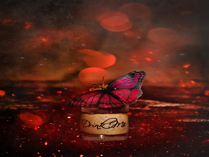 Butterfly on Bottle