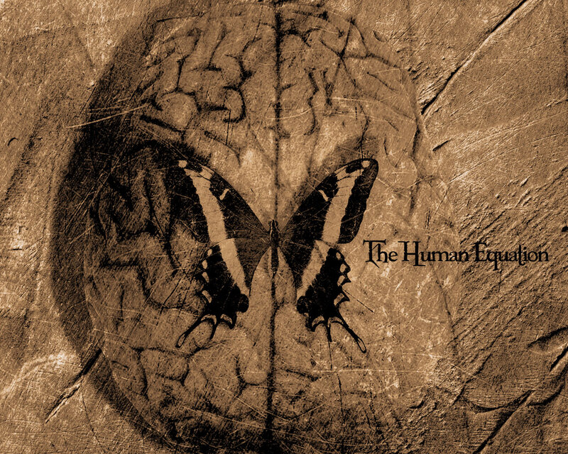 Butterfly on Brain