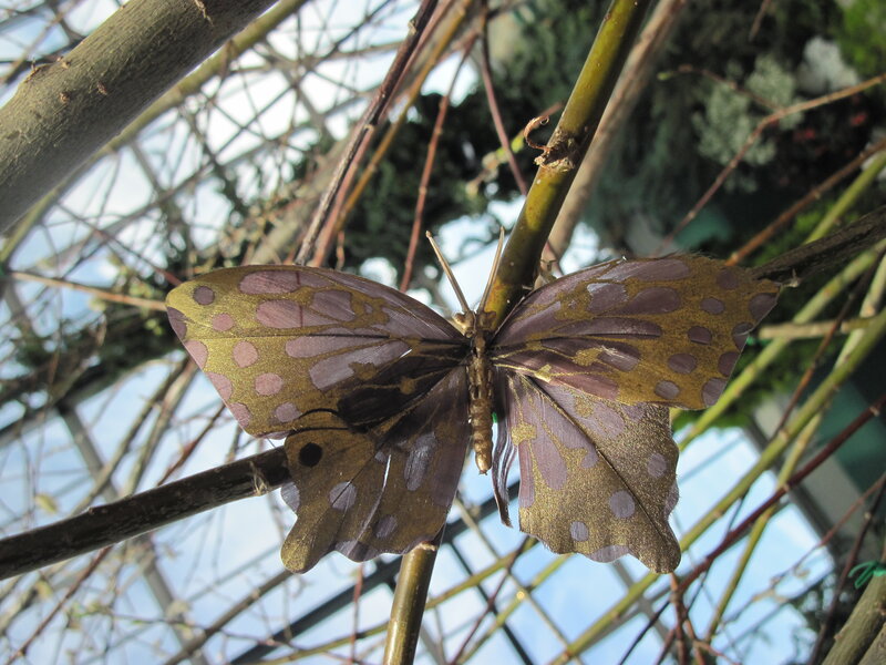 Butterfly on Branch — Purple