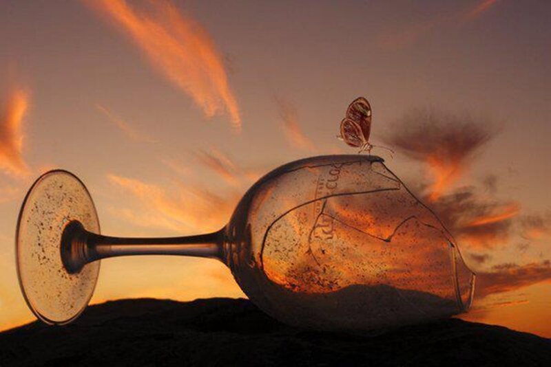 Butterfly on Broken Glass