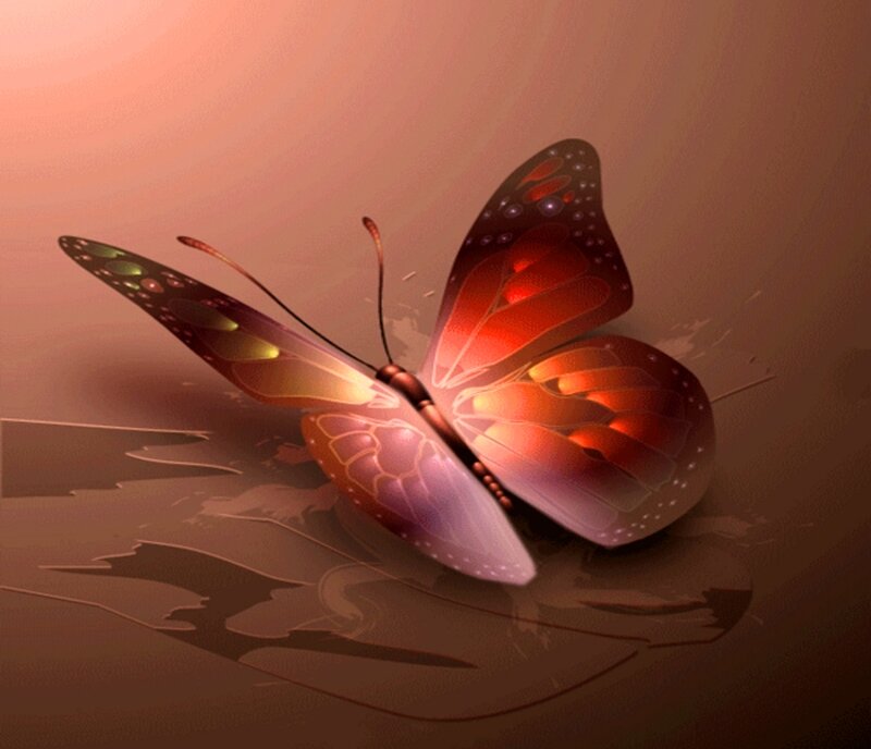 Butterfly on Brown Surface