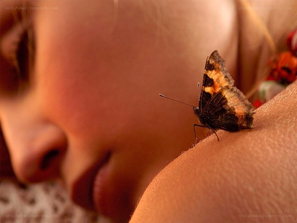 butterfly on child's shoulder