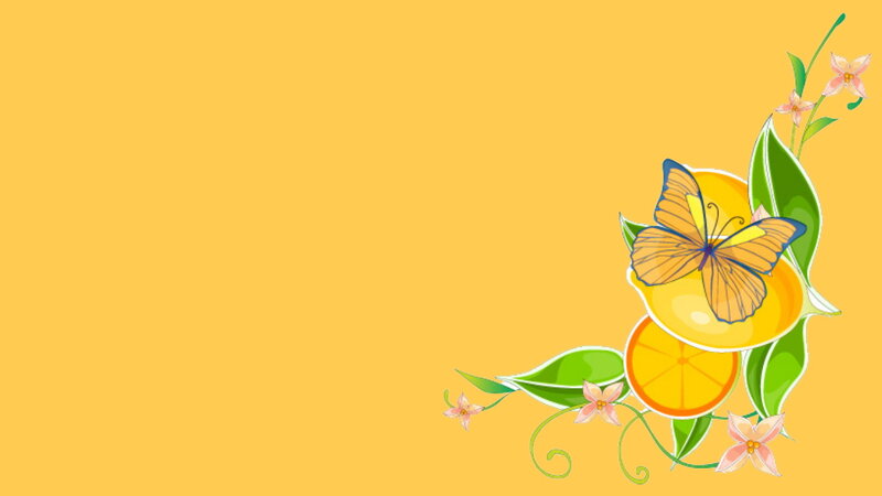 Butterfly on Citrus Fruit