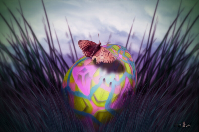 Butterfly on Colorful Sphere