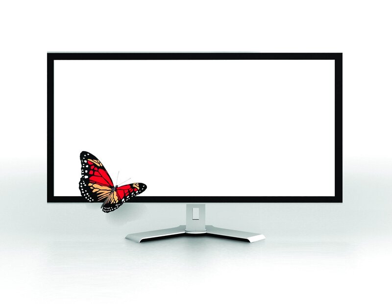 butterfly on computer monitor