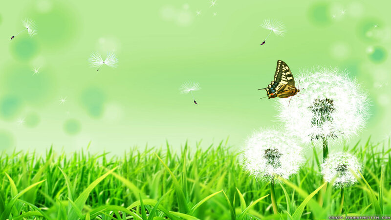 Butterfly on Dandelion — Green, Serene, Spring