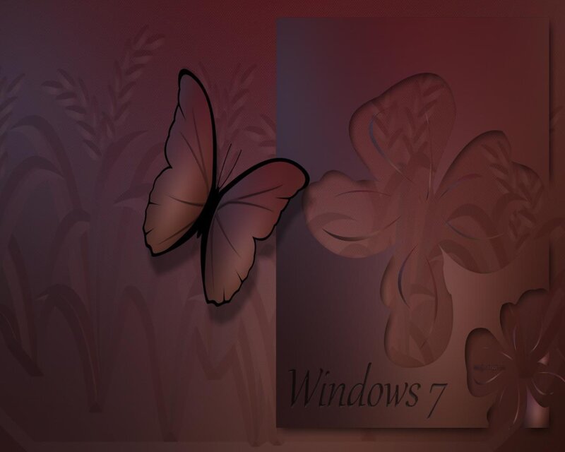 Butterfly on Dark Background