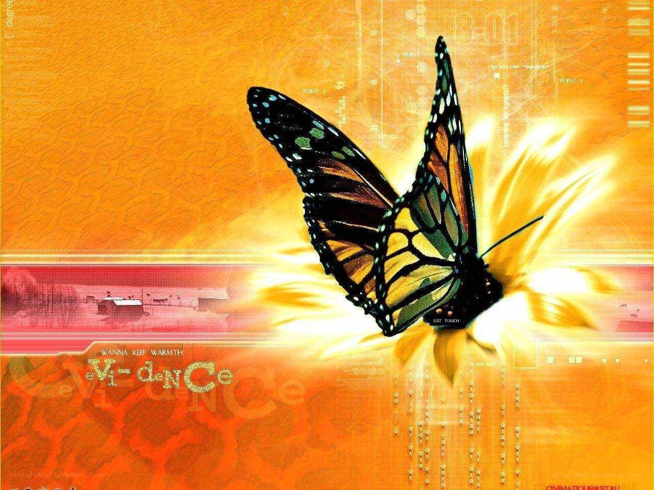 butterfly on digital flower