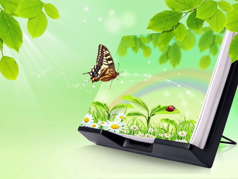 Butterfly on Digital Screen