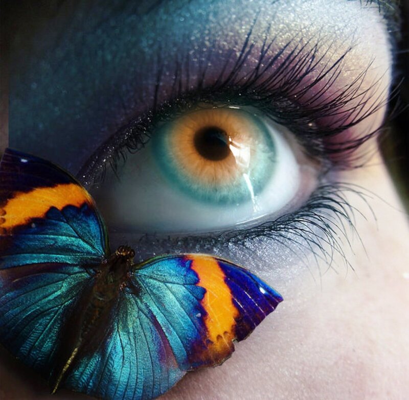 Butterfly on Eye