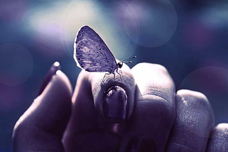 Butterfly on Finger — Purple