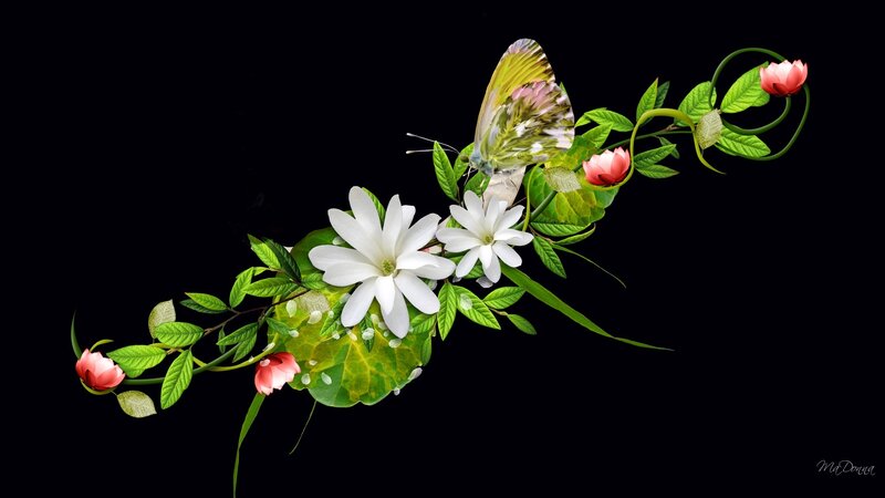 Butterfly on Floral Branch