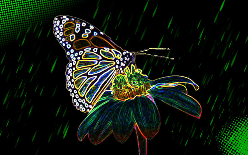 Butterfly on Flower — Black, Dramatic, Digital Art