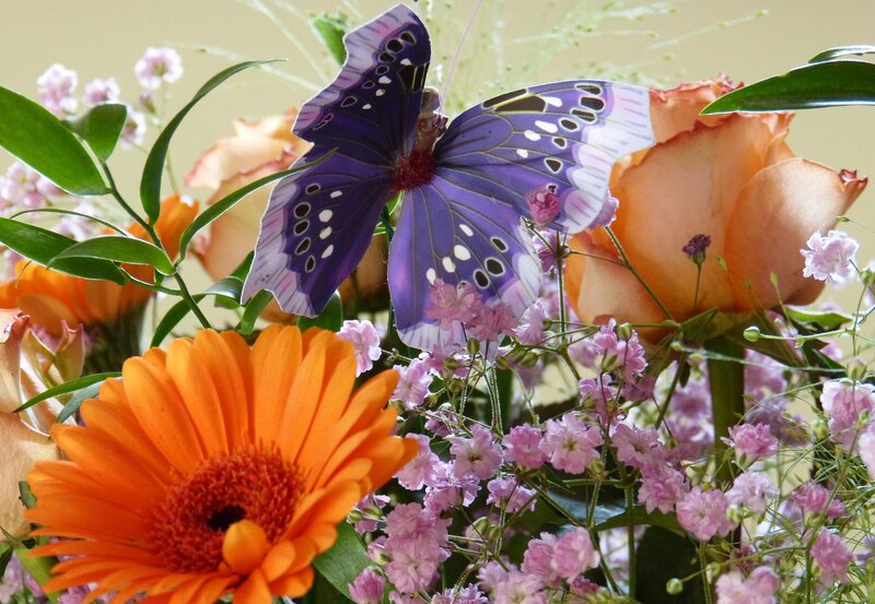Butterfly on Flower Bouquet — Purple