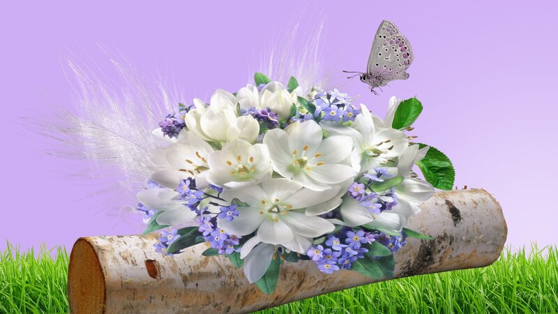 Butterfly on Flower Bouquet