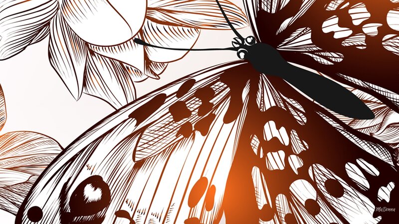 Butterfly on Flower — Brown, Dramatic, Illustration