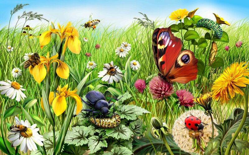Butterfly on Flower — Green, Serene, Summer