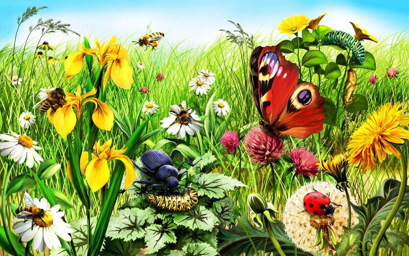 Butterfly on Flower — Green, Vibrant, Summer