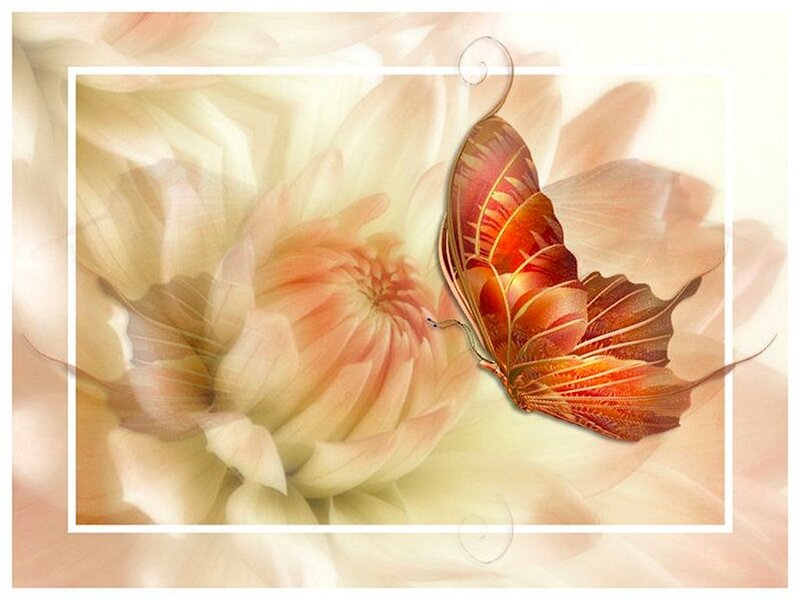 Butterfly on Flower — Orange, Serene, Digital Art