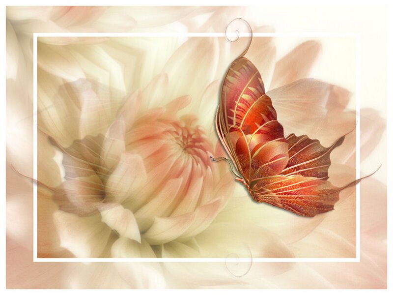 Butterfly on Flower — Pink, Serene