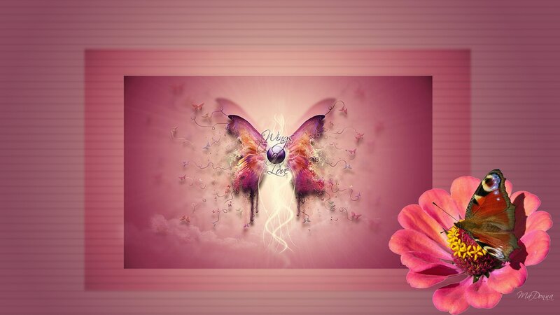 Butterfly on Flower — Pink