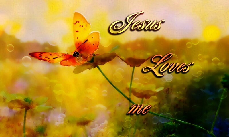 Butterfly on Flower — Yellow, Serene, Sunset, Digital Art