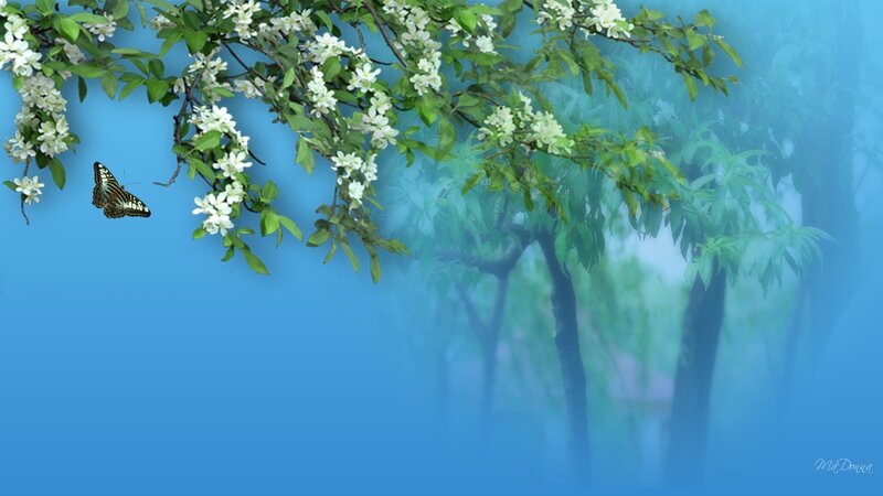 Butterfly on Flowering Branch — Blue