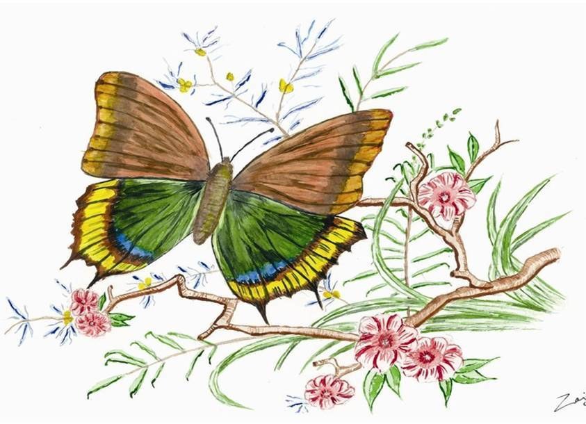 butterfly on flowering branch