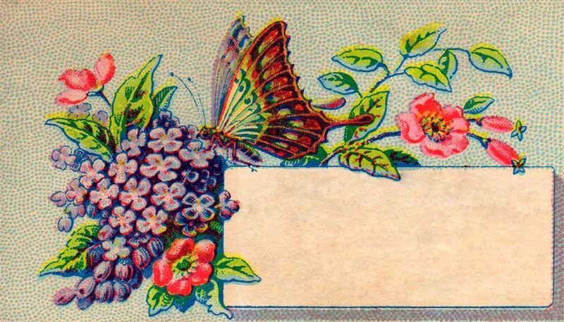 Butterfly on Flowers — Blue, Calm, Illustration