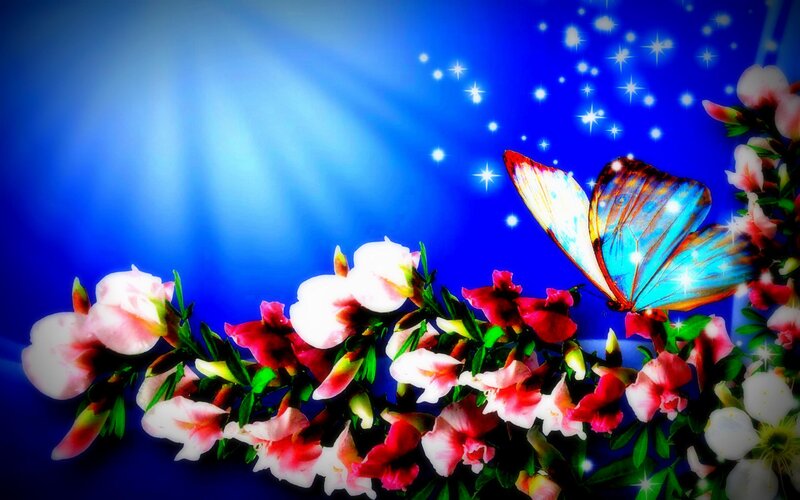 Butterfly on Flowers — Blue, Dreamy, Night