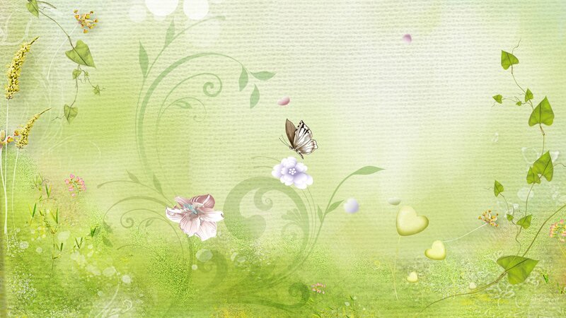 Butterfly on Flowers — Green