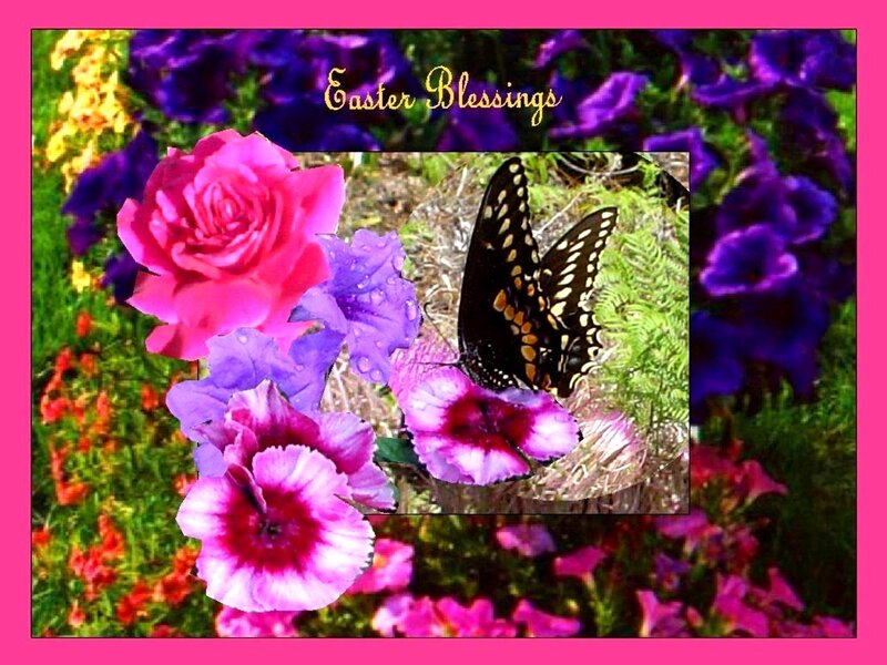 Butterfly on Flowers — Pink, Festive