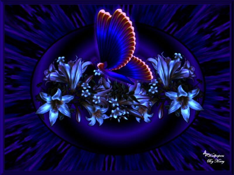 Butterfly on Flowers — Purple, Dramatic