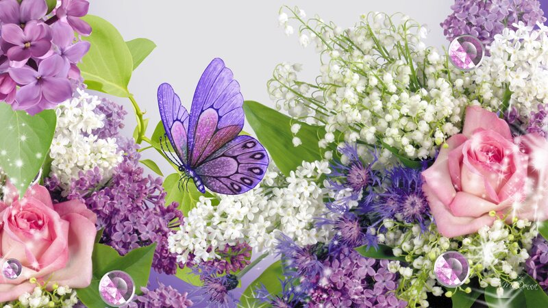 Butterfly on Flowers — Purple, Festive