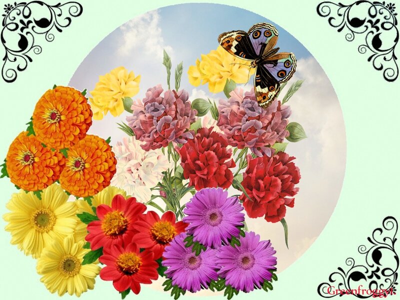 Butterfly on Flowers — Purple, Serene, Afternoon