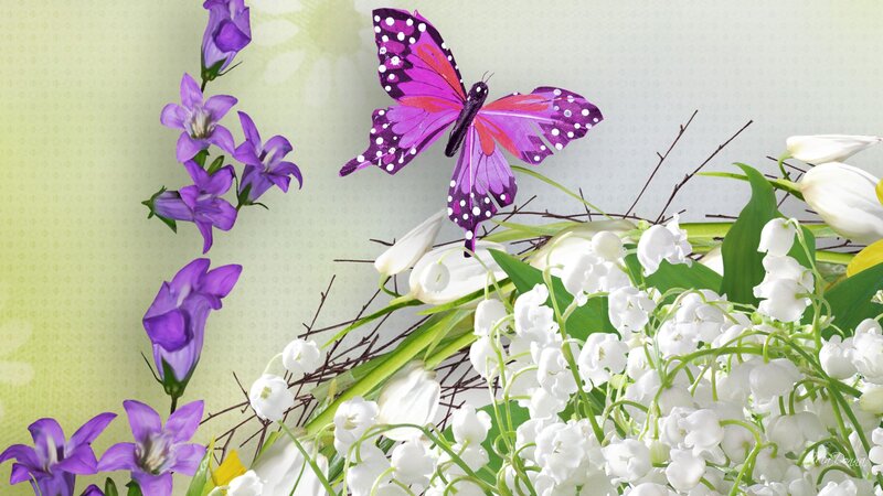 Butterfly on Flowers — Purple, Serene